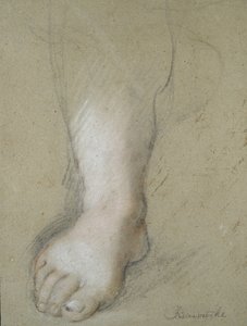 Studie eines Fußes (schwarze, rote, rosa und weiße Kreiden auf grauem Papier) von Federico Barocci
